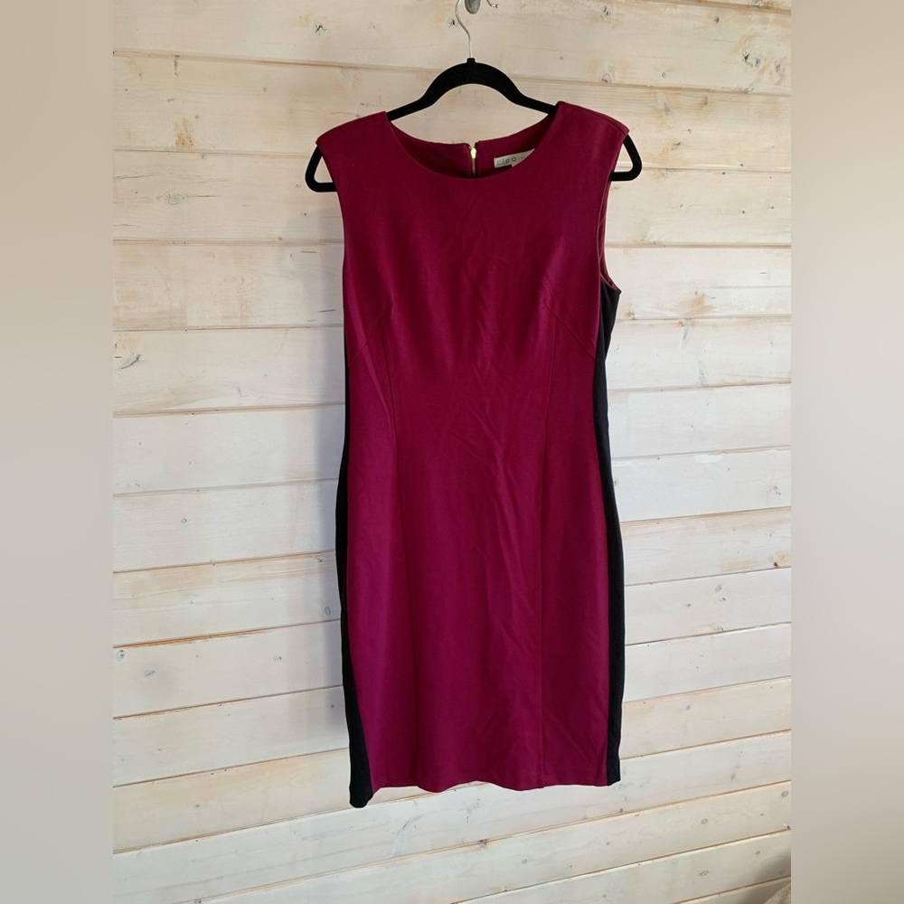 Cleo | Pink & Black Midi Dress